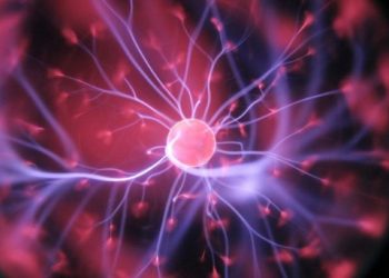 Kinggenetics trae a España el testamento Genético