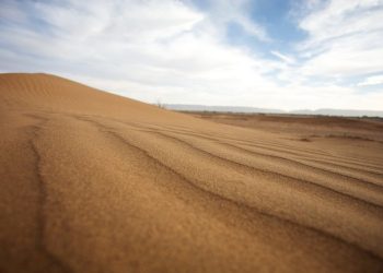 El TS no reconoce la nacionalidad española a los nacidos en el Sahara Occidental