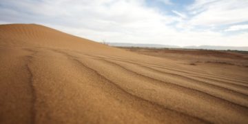 El TS no reconoce la nacionalidad española a los nacidos en el Sahara Occidental