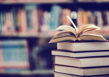 Pilar Latorre Guillorme, una Notaria con Experiencia, Comparte su Trayectoria y Conocimiento